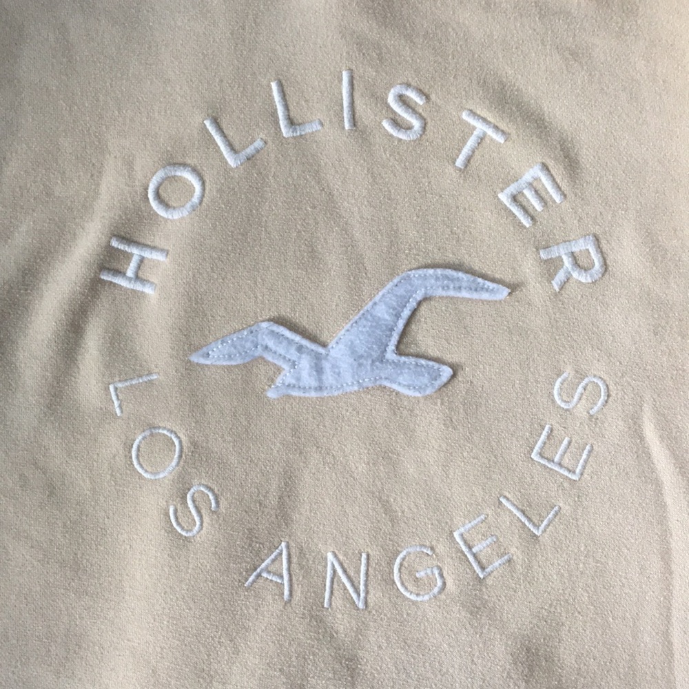 Hollister sweater
